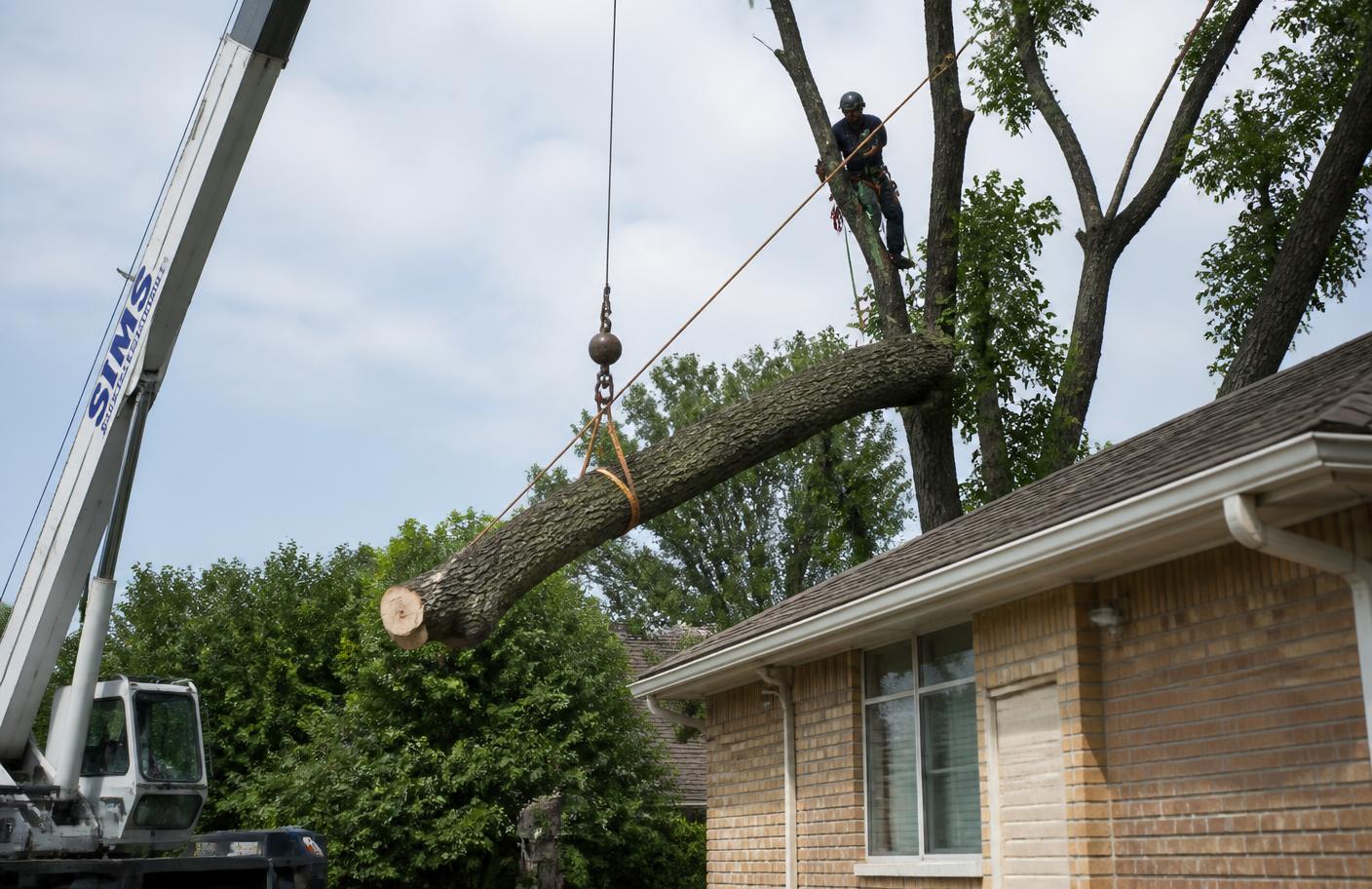Arborist rigging a large limb off a roofline during a tree removal in Denton, Texas